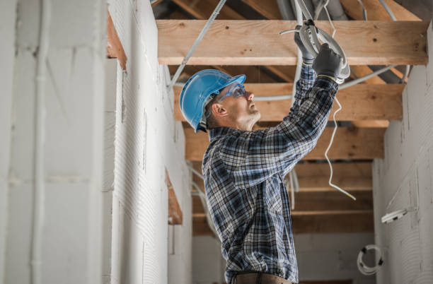 Best Electric Panel Repair  in Brighton, CO