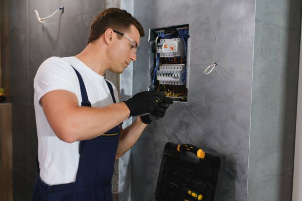 Best Electric Panel Repair  in Brighton, CO
